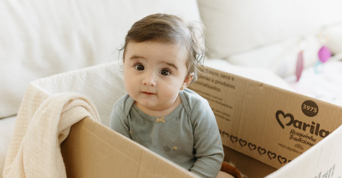 Marcos do Desenvolvimento do Bebê: Mês a Mês (0-12 Meses) - Guia Amni para mães