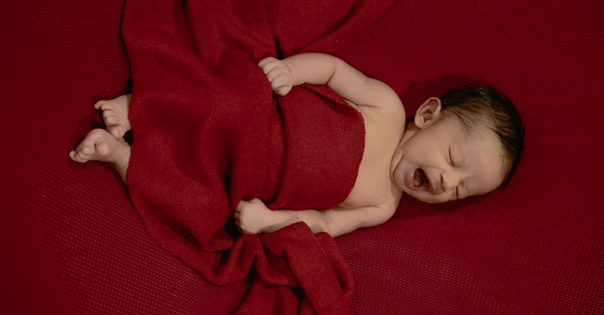 O Retorno de um Bebê Internado para Casa: A Batalha e as Vitórias da Translactação e Ordenha — Guia Amni para mães