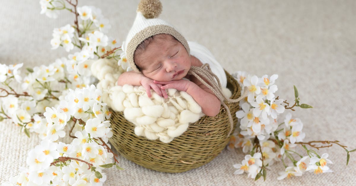 Rotina de Sono do Bebê de 14 Meses: Tabela, Sonecas e Janelas de Vigília — Guia Amni para mães
